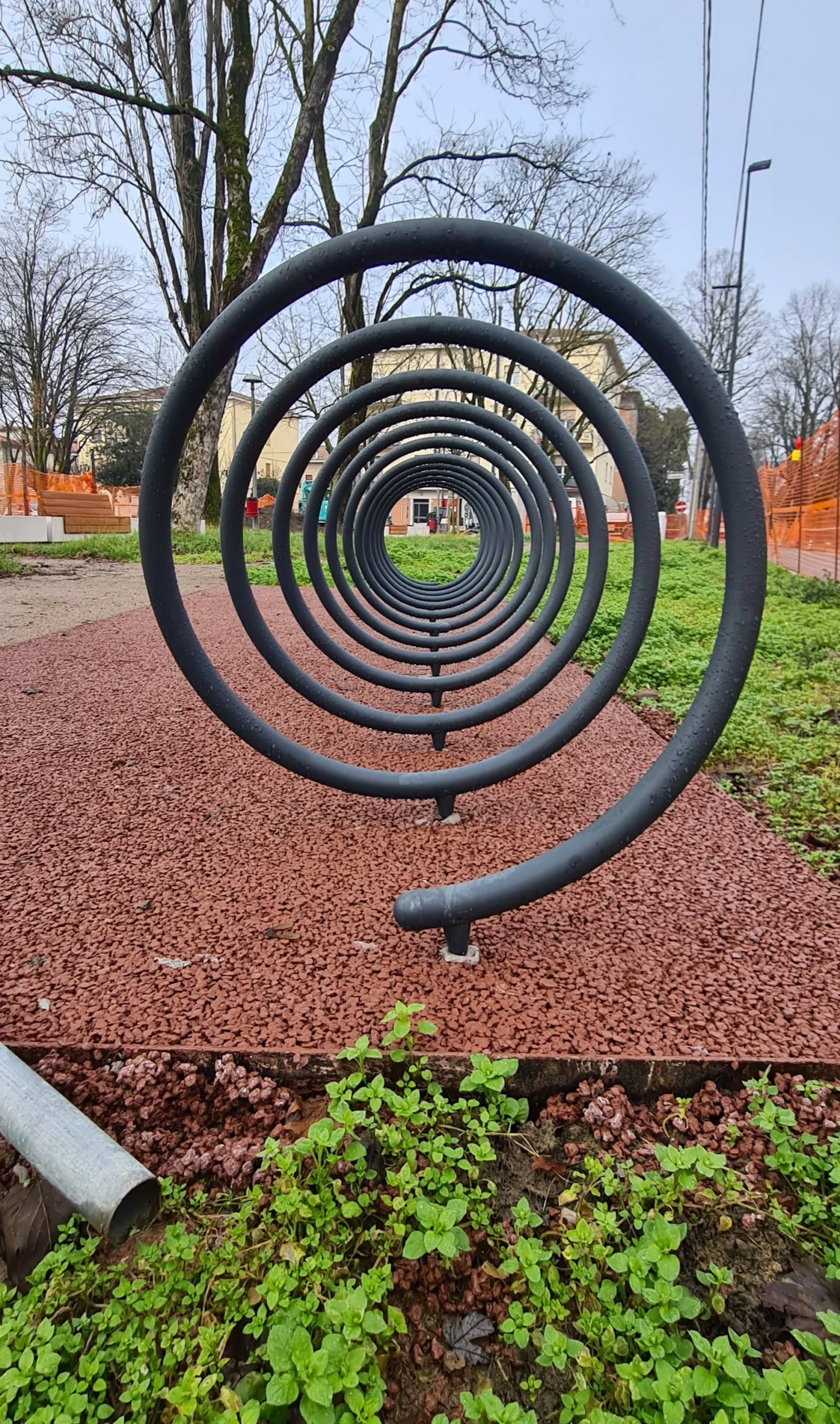 20250129_135544_risultato