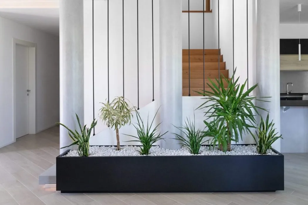 DSC04542-scaled-e1641321742105_risultato