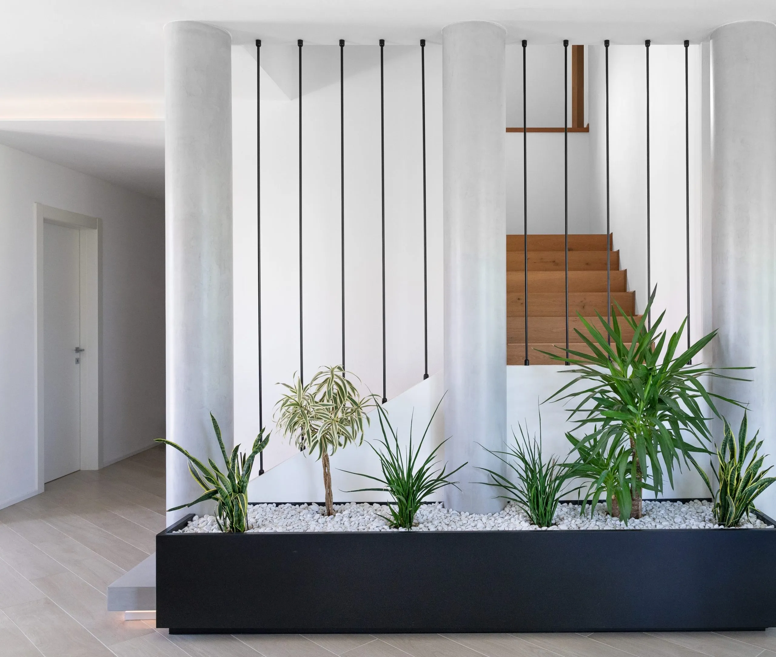 DSC04542_2-scaled-e1641322469331_risultato