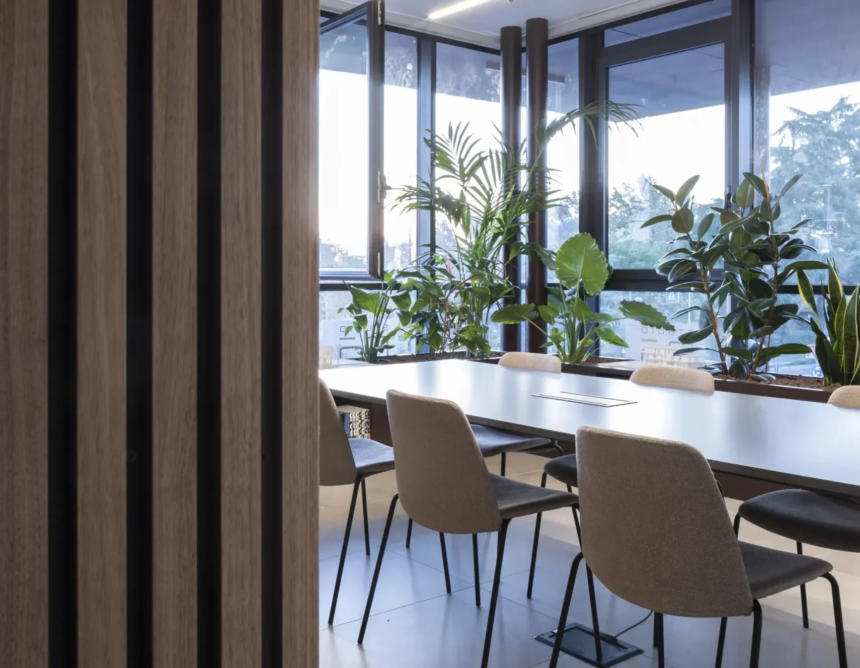 R6A9660_risultato-scaled